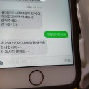 공주이불커튼