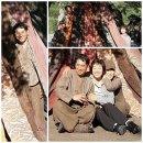 (사)전통천연염색색채예술연구회