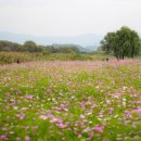 생태공원 정문 이미지