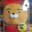 더원 행정사사무소 이미지