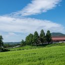 용인목장 이미지