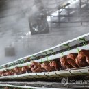 대구가축병원 이미지