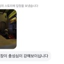 모란애견
