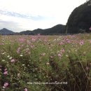 경천주유소 이미지