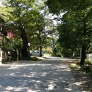 신기수목장 이미지