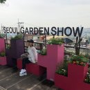 해방촌마을정원사 이미지