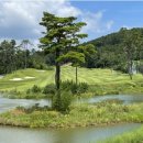 해운대비치 골프앤리조트 이미지