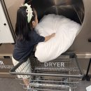 뽀송뽀송세탁 | 미뤄왔던 이불빨래 관평동 이불빨래 세탁풍경 관평점에서 이불빨래 및 건조 해본 후기