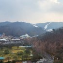 플렉스몰 이미지