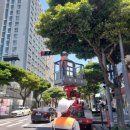 중앙로가로수 이미지