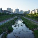 용암천4 네이버블로그