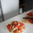 FONT(퐁트) 이미지