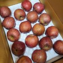 비아중학교 | 과일,야채 공구 설향딸기 꼬마딸기 골드키위 부사 감말랭이 타이벡귤 양파 ~화요일픽업