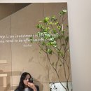 강남 가볼만한곳 <슬로우 어드민&리부트 나이트> 토퍼&매트리스 체험 후기