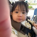 산호동290 | 금귤이 키우기 : 290일 ~ 300일 일상