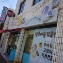 멍멍이랑 사랑하기 이미지