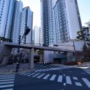 단대로 티스토리