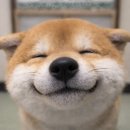 예진우리옷 | 예진이는 이제 겨울 방학