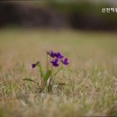 신전떡볶이 무주점 이미지