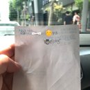 펫캡 이미지
