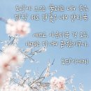도담이 이미지