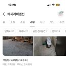 해피리버팬션