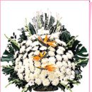 보배정신건강상담센터 이미지