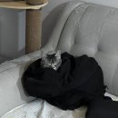 아이야ㅑㅇ 호듀마루냐랑던쟉이란말ㄹ라ㅣ야카<b>앙투</b>(호마1탄)