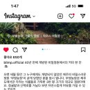 부영농장 이미지