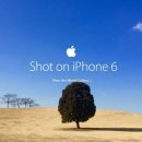 제일제면소 올림픽공원점 이미지