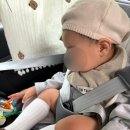 주마등한정식 | 일산 돌잔치 후기 해오름한정식 첫돌 백석역 룸식당 한정식 코스 상견례 돌잔치 전문 돌아기 코스요리...