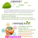 김장배추 & 쌈 배추 판매(마감) 이미지