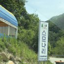 횡성 스므나리캠핑장 애견동반캠핑장 프라이빗 계단식캠핑장 단점