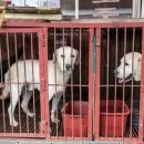 건너농장 이미지