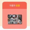 팔마카오디오