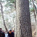 어명이요 - 유성구 신성남로 140 | 어명이요