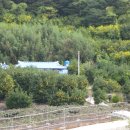 청산농장 이미지