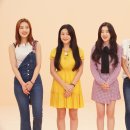 아이돌