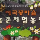 마산농장 이미지