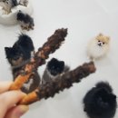 대청유치원 이미지