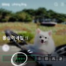 화진포 자전거대여소 | 57th 화진포해양박물관 후기🐟, 강원도 고성 노지캠핑(2) : 현대 유니버스 캠핑카🚌 4인 가족 아기와 캠핑...