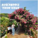 장미향농원 네이버블로그