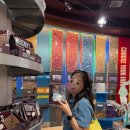 태양민박앞 | [캐나다 워홀] 밴쿠버로 날아온 그녀 | 라스베가스 여행기 | 태양의 서커스