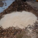 민들래농원 이미지