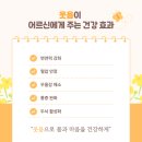 웃음치료의 힘 이미지