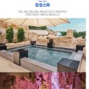 모든푸드