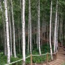 동화장여관 이미지