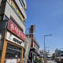 봄꽃힐링투어 이미지
