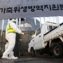 정진용농장 쿠키뉴스