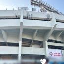 재미삼아게임장 | [야구 개막전 썰]2025 프로야구 개막전_잠실전(현장판매 구매후기,잠실개막전후기)